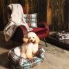Cuccia Dog tessuto Teddy stampa tartan - immagine 3