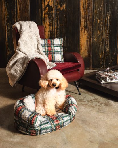 Cuccia Dog tessuto Teddy stampa tartan - immagine 3