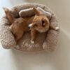 Cuccia tessuto Teddy color sabbia - immagine 2